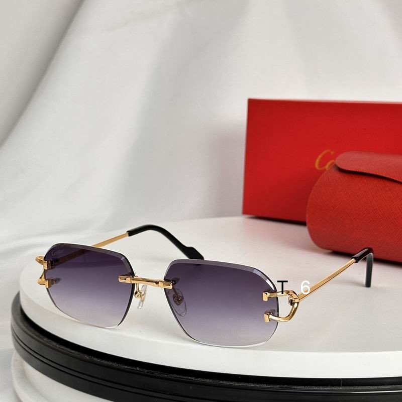 Cartier Sunglasses 501